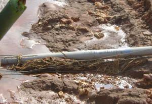 988pay钱包 -轻松支付,放心选择