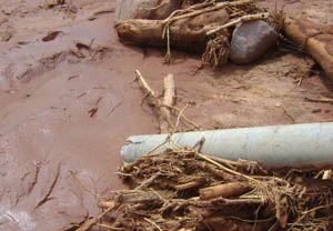 988pay钱包 -轻松支付,放心选择