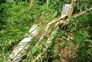 988pay钱包 -轻松支付,放心选择