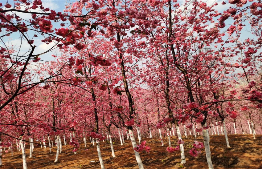 988pay钱包 -轻松支付,放心选择