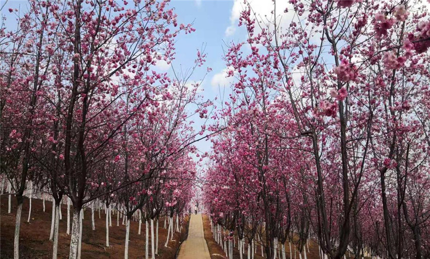 988pay钱包 -轻松支付,放心选择